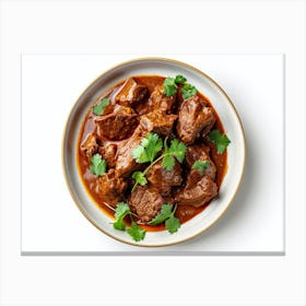 Indian Beef Curry 3 Canvas Print