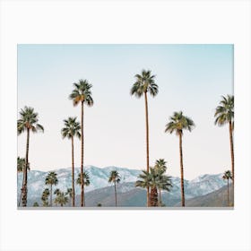 Palm Springs Scenery Canvas Print