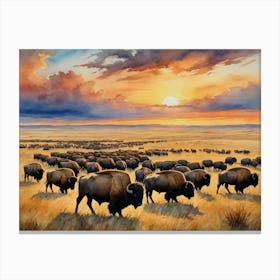 Bison Herd At Sunset Whispers of Winter Canvas Print