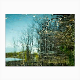 Tree Line Reflections 3 Canvas Print