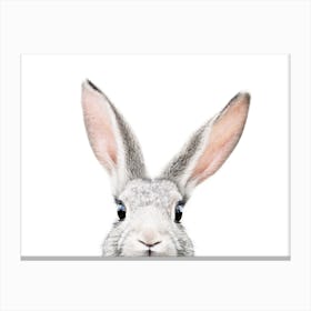 Peekaboo Bunny Canvas Print