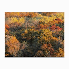 Aerial Fall Foliage Canvas Print