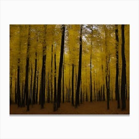 Yellow Trees In A Forest Canvas Print