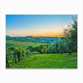 Chianti Italy Vineyard Canvas Print