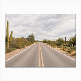 Lonely Desert Road Canvas Print