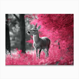 Deer In The Forest Canvas Print