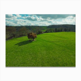 Lone Tree In The Field Canvas Print