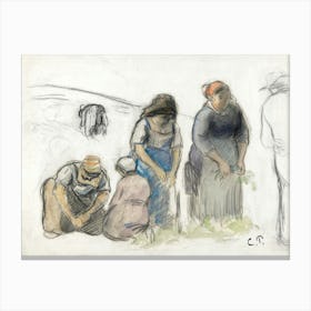 Pea Harvesters (ca. 1880), Camille Pissarro Canvas Print