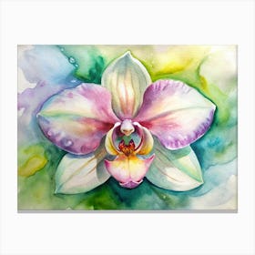 Orchid Painting Canvas Print