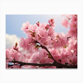 Cherry Blossoms In Spring Canvas Print