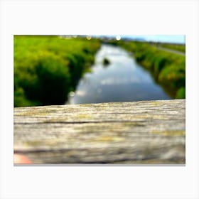 River In The Grass Canvas Print