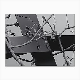 Cross In A Tree Canvas Print