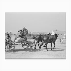 Southeast Missouri Farms, Fsa (Farm Security Administration) Clients On Wagon By Russell Lee Canvas Print