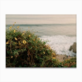 Malibu Wildflowers and Sea Canvas Print