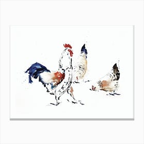 Roosters 1 Canvas Print