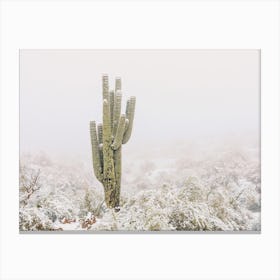 Snow Storm Cactus Canvas Print