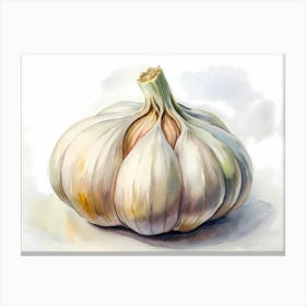 Garlic Canvas Print