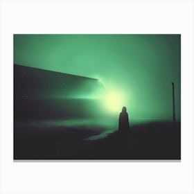 Alone in the Fog Canvas Print