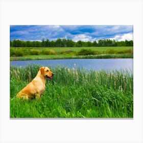 Cute Dog In The Grass Canvas Print