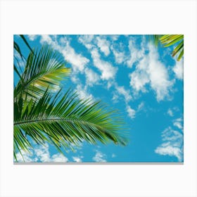 Palm Tree Against Blue Sky 6 Canvas Print