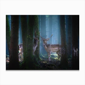 Deers Canvas Print