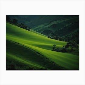 green nature 1 Canvas Print