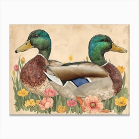 Floral Animal Illustration Mallard Duck 2 Canvas Print