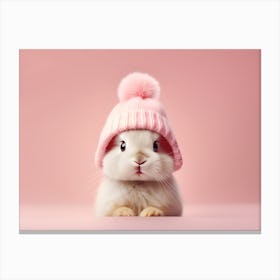 Cute Rabbit In A Hat Canvas Print