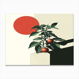 Tomato Plant 1 Canvas Print