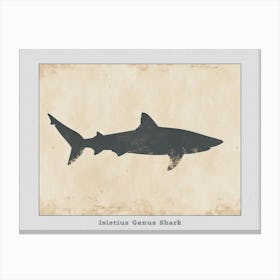Isistius Genus Shark Silhouette 3 Poster Canvas Print