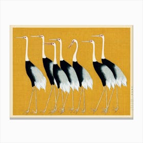 Cranes Canvas Print