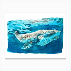 Humpback Whale Canvas Print