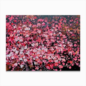 Cherry Blossoms Canvas Print