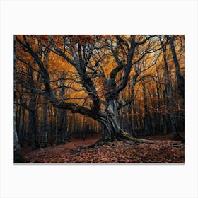 Autumn Forest 23 Canvas Print