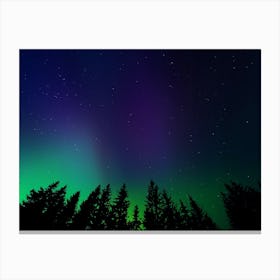 Aurora neon landscape #4 Canvas Print