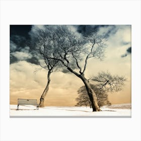 Winter Warrior Trees Canvas Print