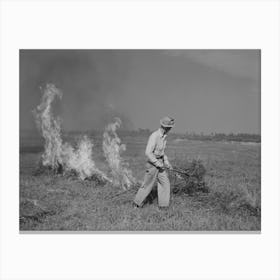 Burning A Field Of Clover That Was Too Poor To Harvest For Seed Near Littlefork, Minnesota By Russell Lee Canvas Print