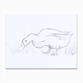 Duck Eating Grass drawing minimal sketch pencil graphite white paper bird farm kitchen living room hand drawn Canvas Print