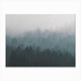 Foggy Blue Forest Canvas Print