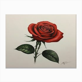 Red Rose 9 Canvas Print