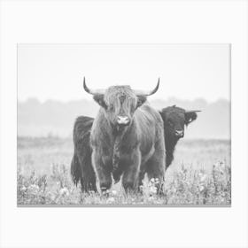 Shaggy Cow In Field Canvas Print