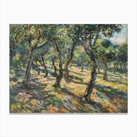 Olive Grove 4 Canvas Print