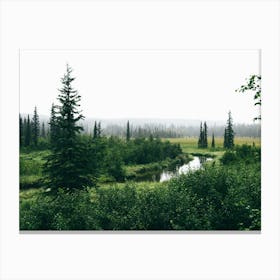 Alaska Interior Canvas Print