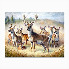 Group Of Deers In A Field Canvas Print