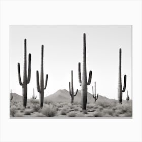 Cactus In The Desert Black and White Minimalist Landscape Canvas Print