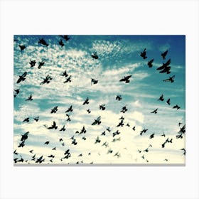 Flying Birds - Blue Sky - Photography Canvas Print