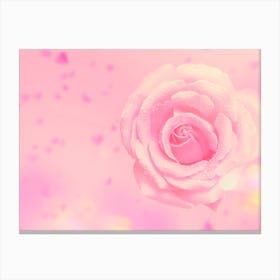 Pink Rose Canvas Print