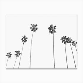 Palm Trees Vintage Landscape Canvas Print