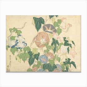 Morning Glories And Tree Frog , Katsushika Hokusai Canvas Print