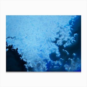 Below the ocean's surface Canvas Print